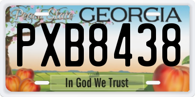 GA license plate PXB8438