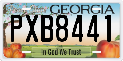 GA license plate PXB8441