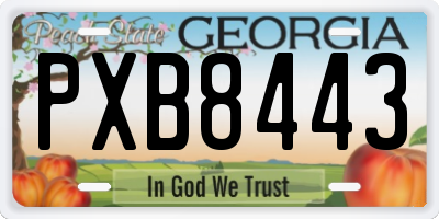 GA license plate PXB8443