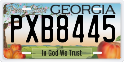 GA license plate PXB8445