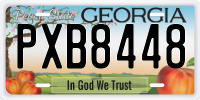 GA license plate PXB8448
