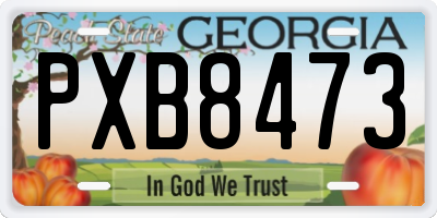 GA license plate PXB8473