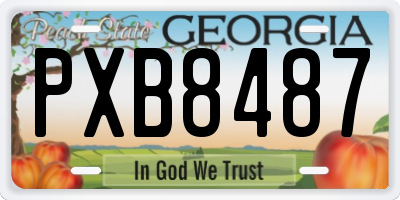 GA license plate PXB8487