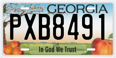 GA license plate PXB8491