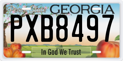 GA license plate PXB8497
