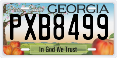GA license plate PXB8499