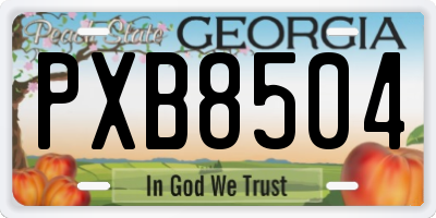 GA license plate PXB8504