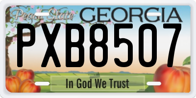 GA license plate PXB8507