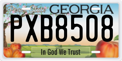GA license plate PXB8508