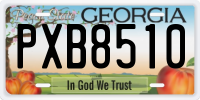 GA license plate PXB8510