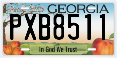 GA license plate PXB8511