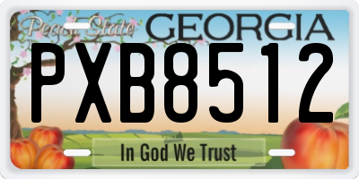 GA license plate PXB8512