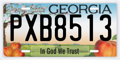 GA license plate PXB8513