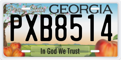 GA license plate PXB8514