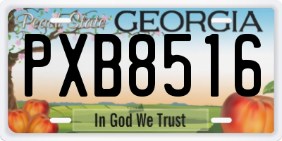 GA license plate PXB8516