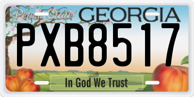 GA license plate PXB8517