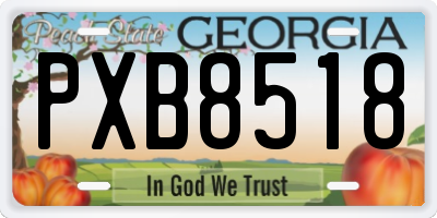 GA license plate PXB8518