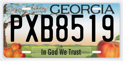 GA license plate PXB8519