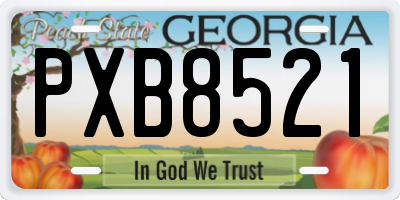 GA license plate PXB8521