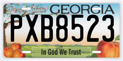 GA license plate PXB8523