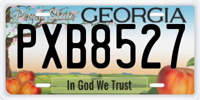 GA license plate PXB8527