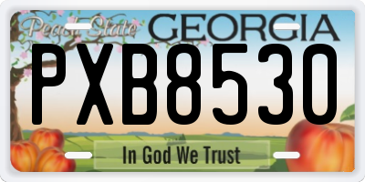GA license plate PXB8530