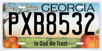 GA license plate PXB8532