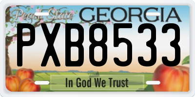 GA license plate PXB8533