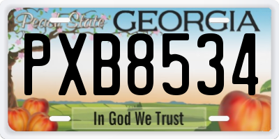 GA license plate PXB8534