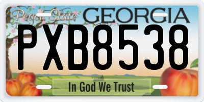 GA license plate PXB8538