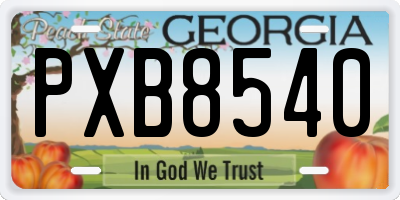 GA license plate PXB8540