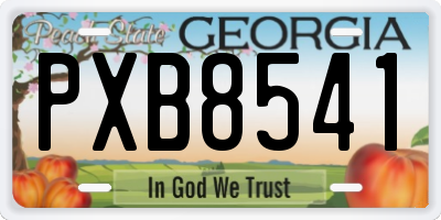 GA license plate PXB8541