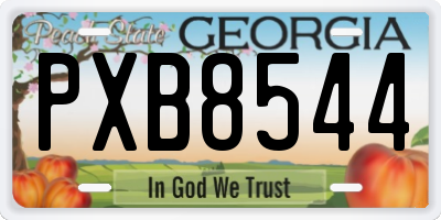 GA license plate PXB8544