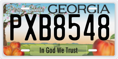 GA license plate PXB8548