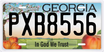 GA license plate PXB8556
