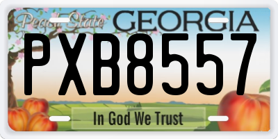 GA license plate PXB8557