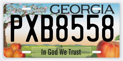GA license plate PXB8558