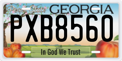 GA license plate PXB8560