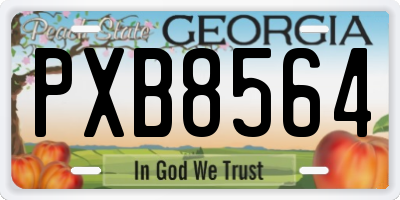 GA license plate PXB8564