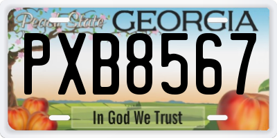 GA license plate PXB8567