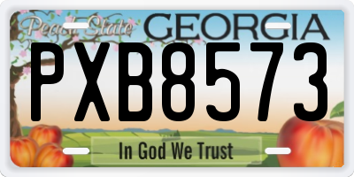 GA license plate PXB8573