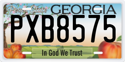 GA license plate PXB8575