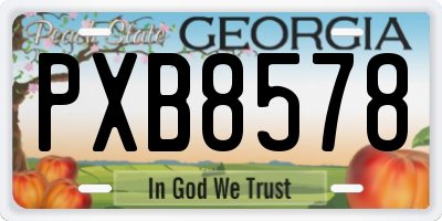 GA license plate PXB8578