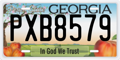 GA license plate PXB8579