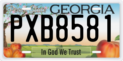 GA license plate PXB8581