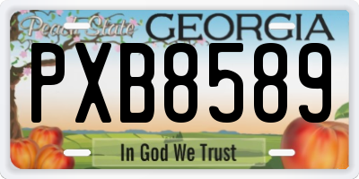 GA license plate PXB8589