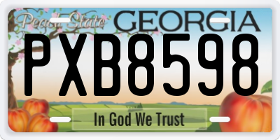 GA license plate PXB8598