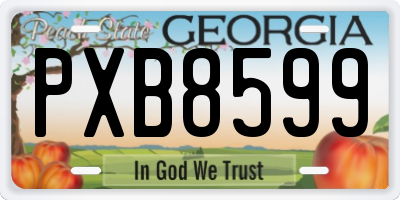 GA license plate PXB8599