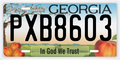 GA license plate PXB8603