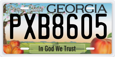 GA license plate PXB8605